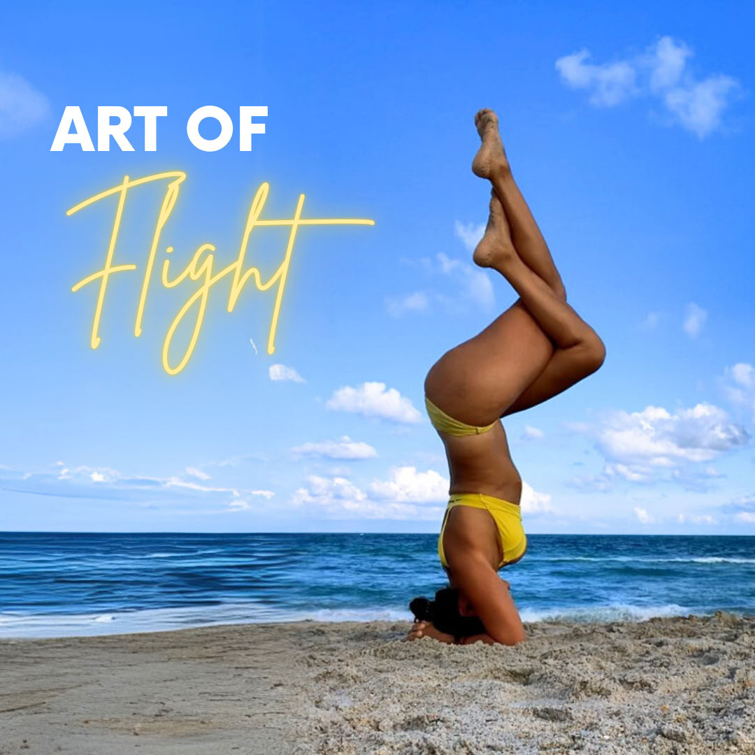 300 tim YTT | Chakra Flow University – mästarsekvensering