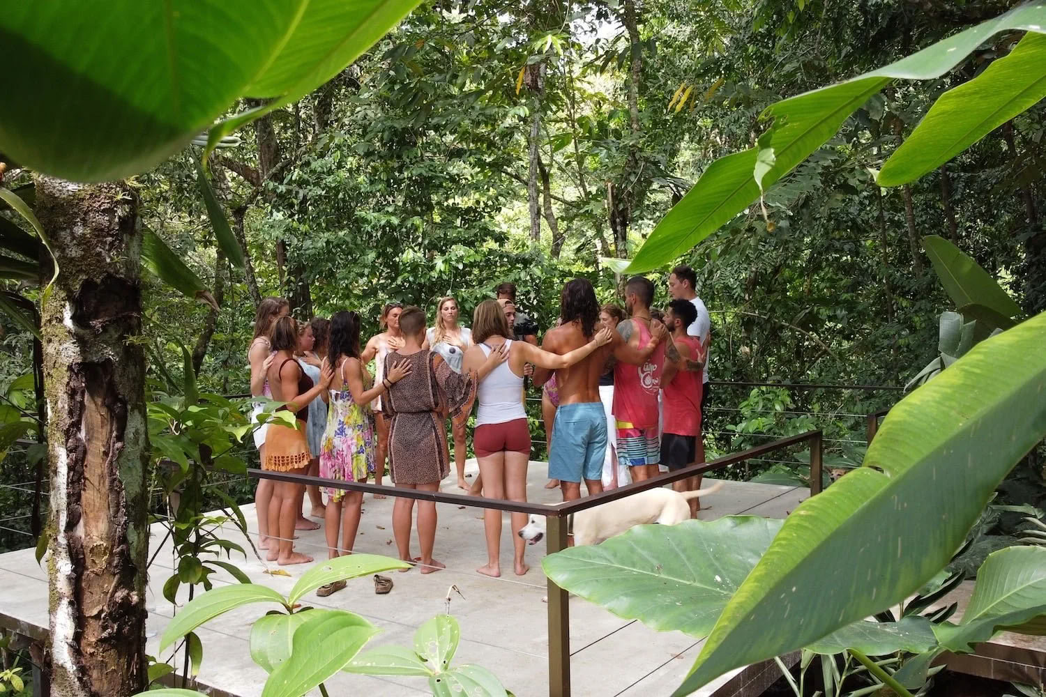 Den levande kunskapen om läkande-retreat – 2–9 september 2026 | Casa Kia Ora
