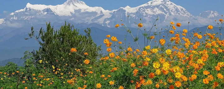 Annapurna basläger