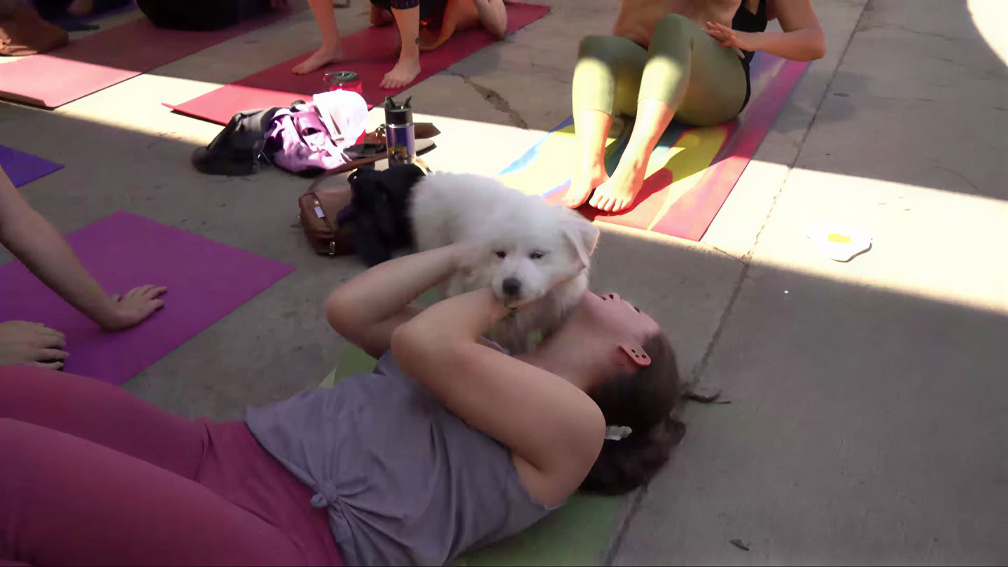 Yoga & Pilates på Bierstadt Lagerhaus | Denver