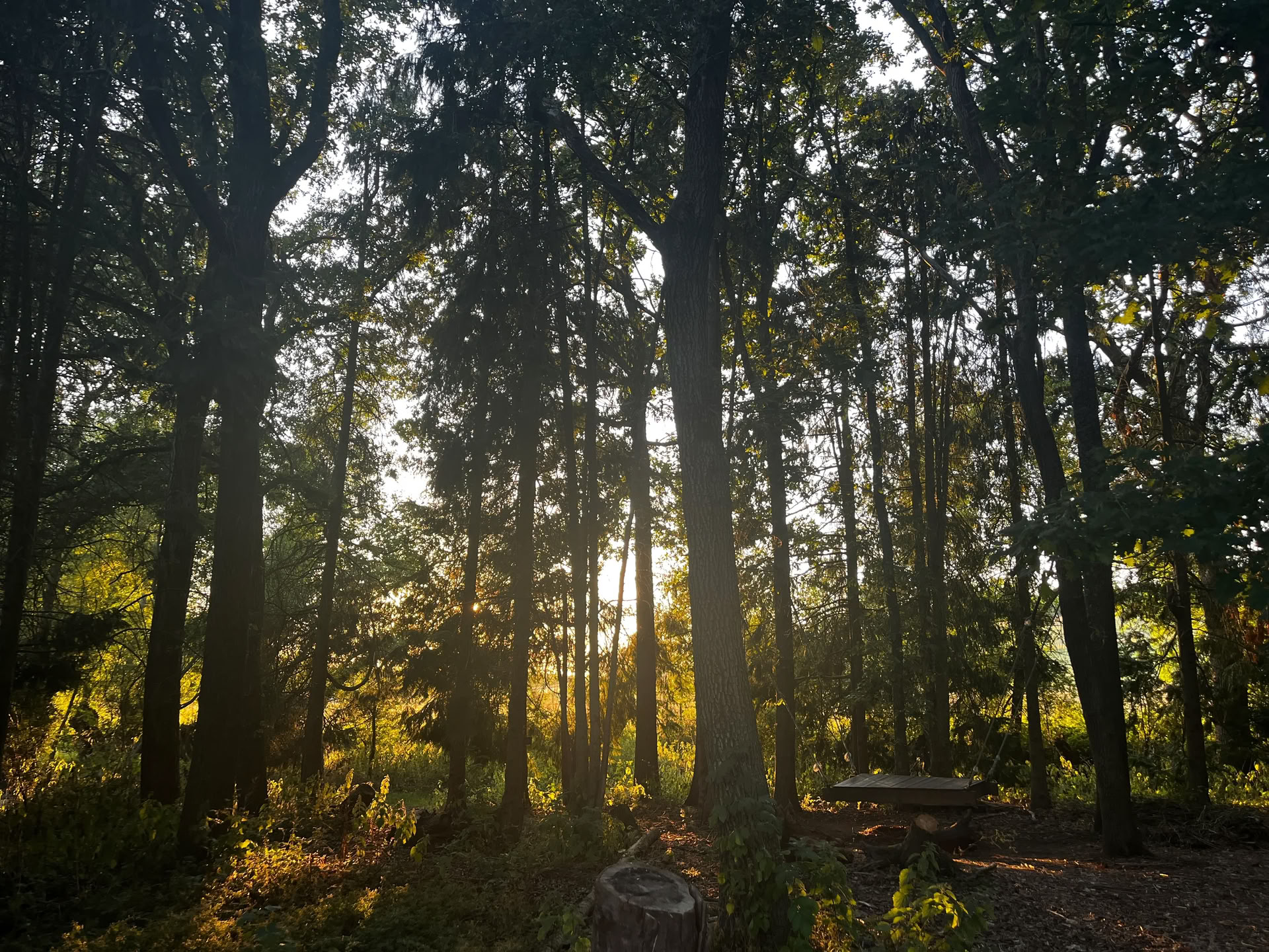Familjedag i naturen