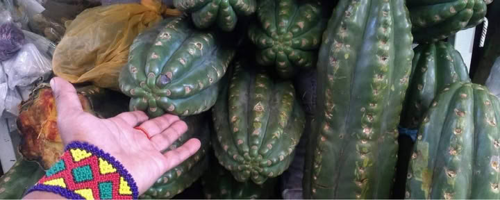San Pedro-ceremoni