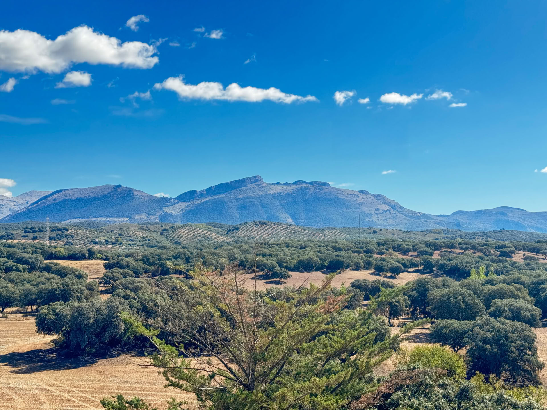 Hyr Finca La Lola