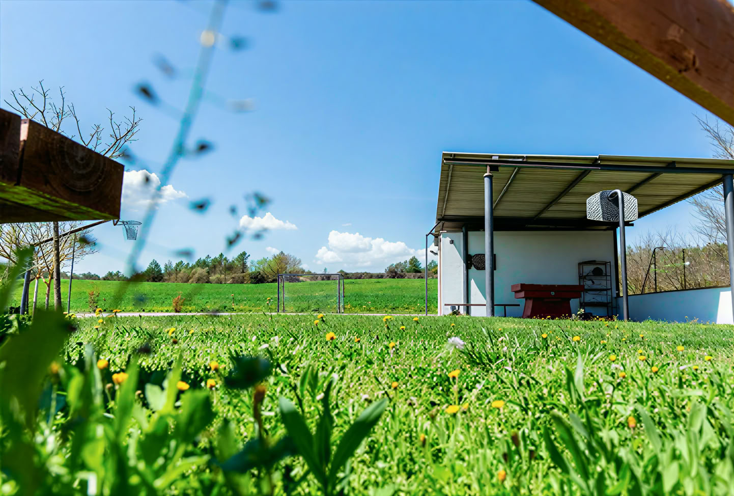 Vårens uppvaknande kroppsretreat