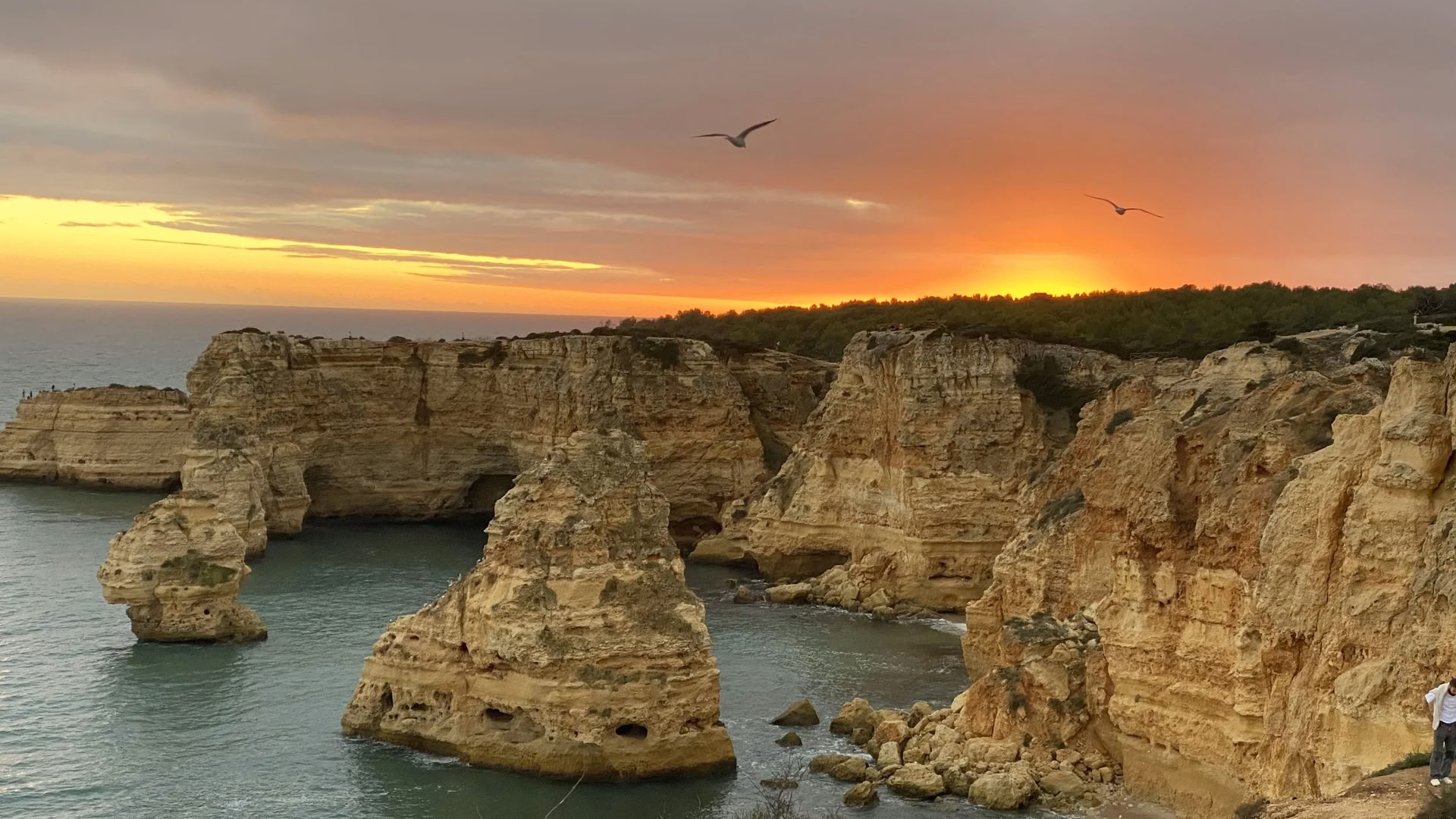 9–15 oktober 2026 — yogaretreat i Algarve