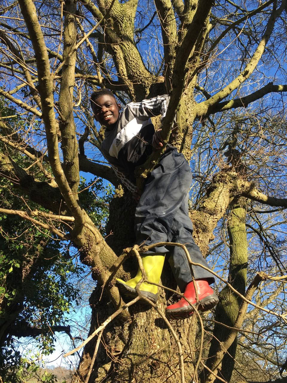Dagsutflykter på landsbygden för grundskolor i London