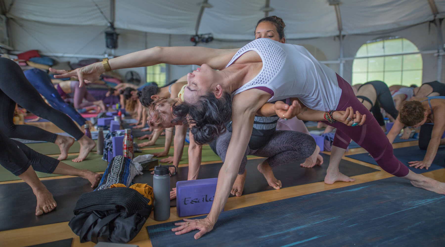In i möjligheternas fält: att möta din essens genom dans