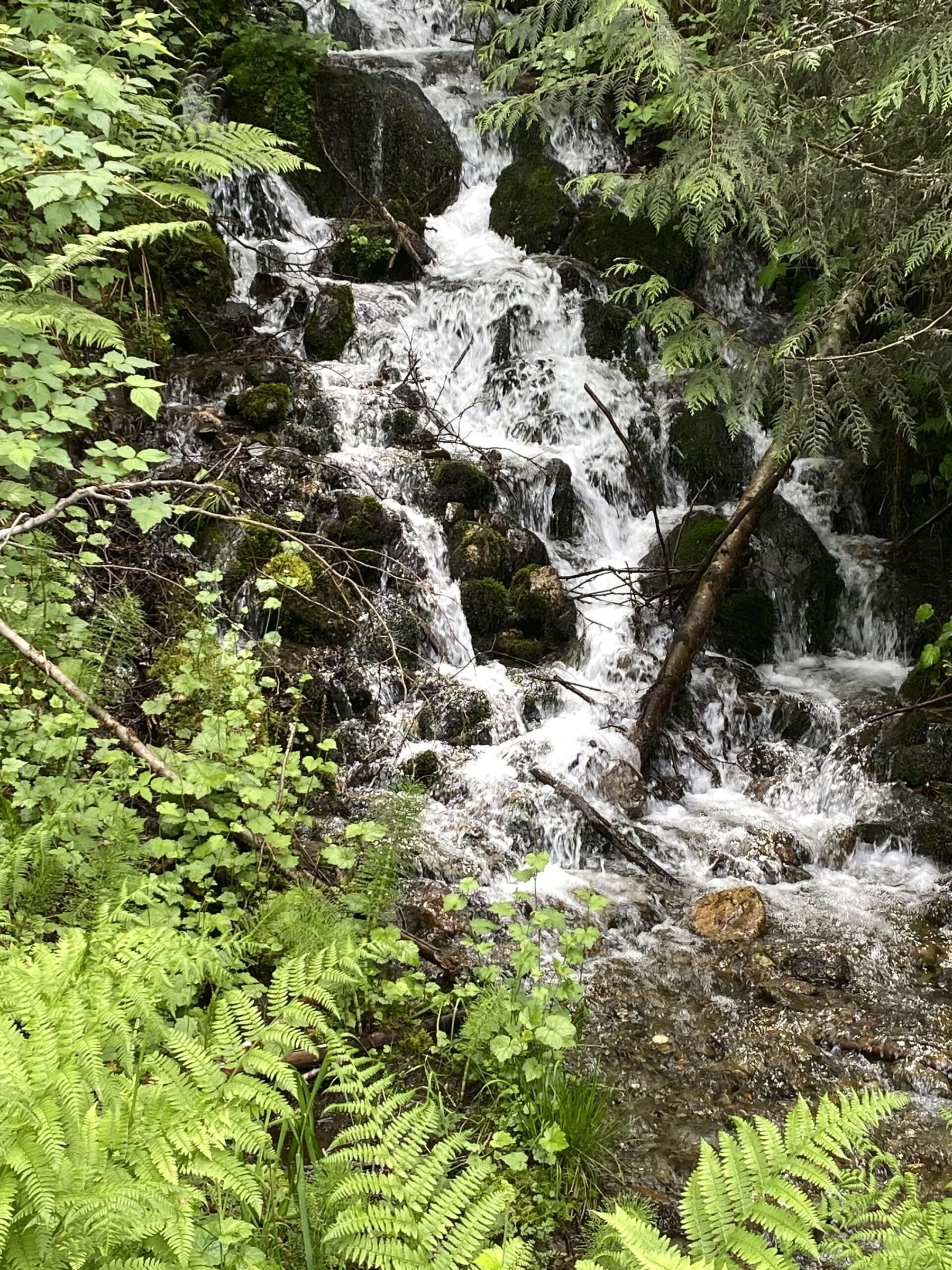 Yoga- och vandringsretreat för läkning vid Fox Creek Falls