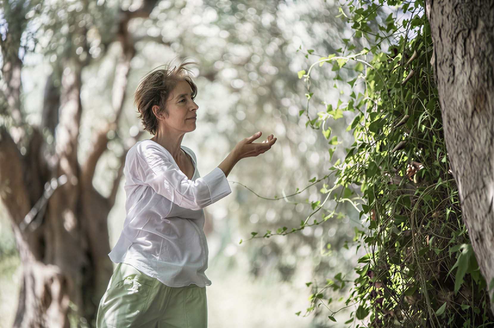 Tai chi och qigong-retreat