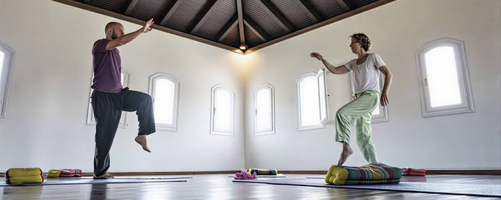 Tai chi och qigong-retreat