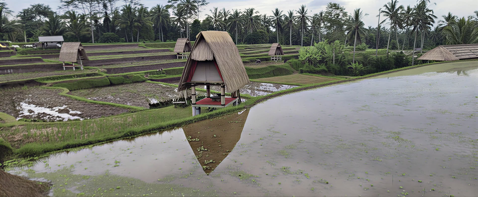 Retreat på Bali