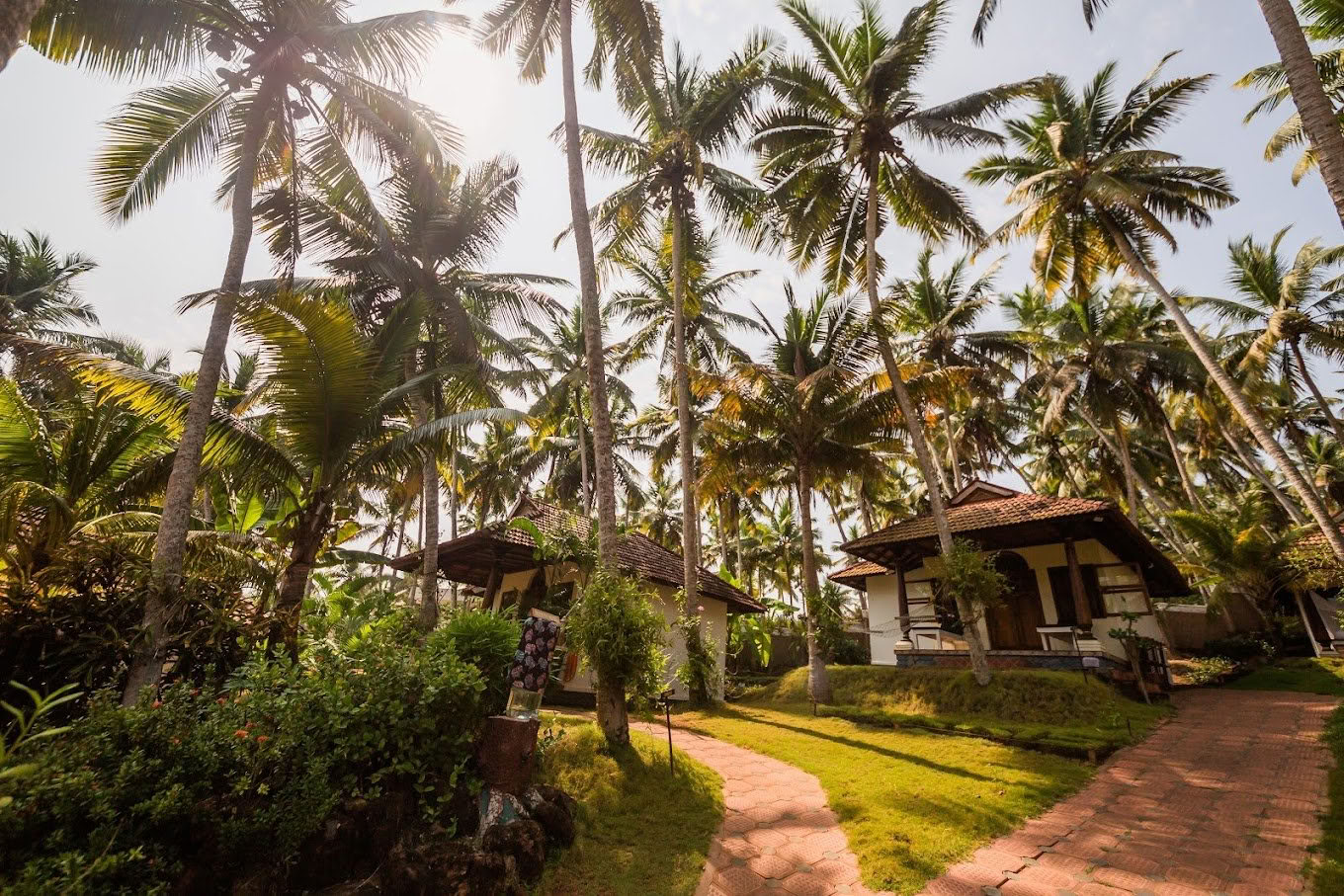 Yoga- och ayurvedaretreat i Indien – 1 september