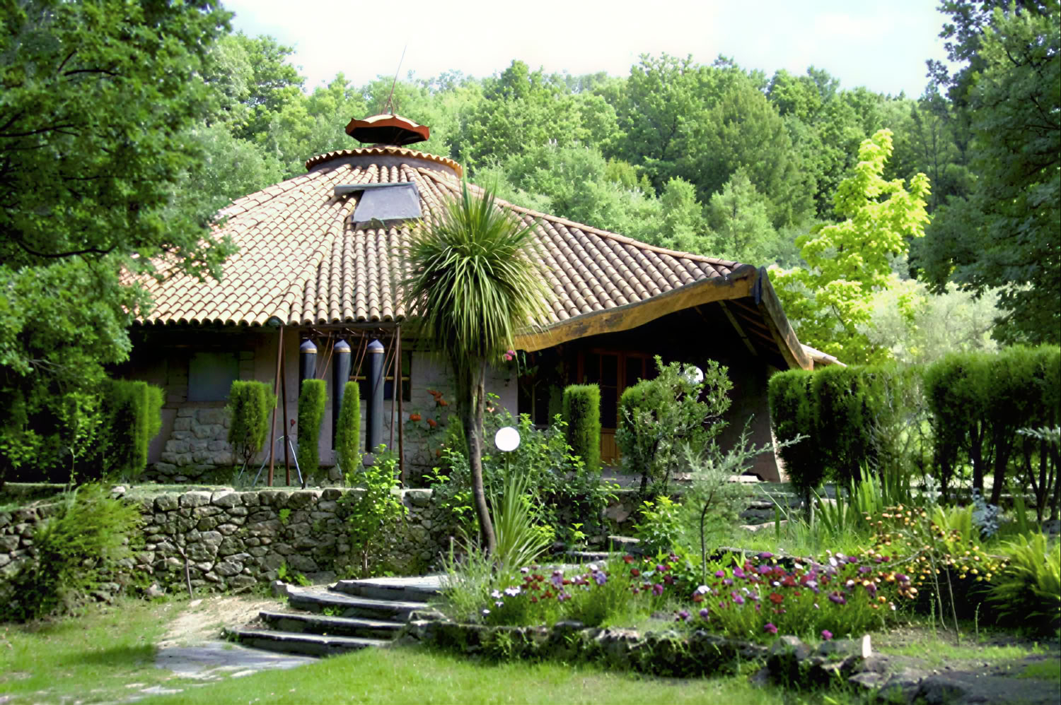 Rika och fria
