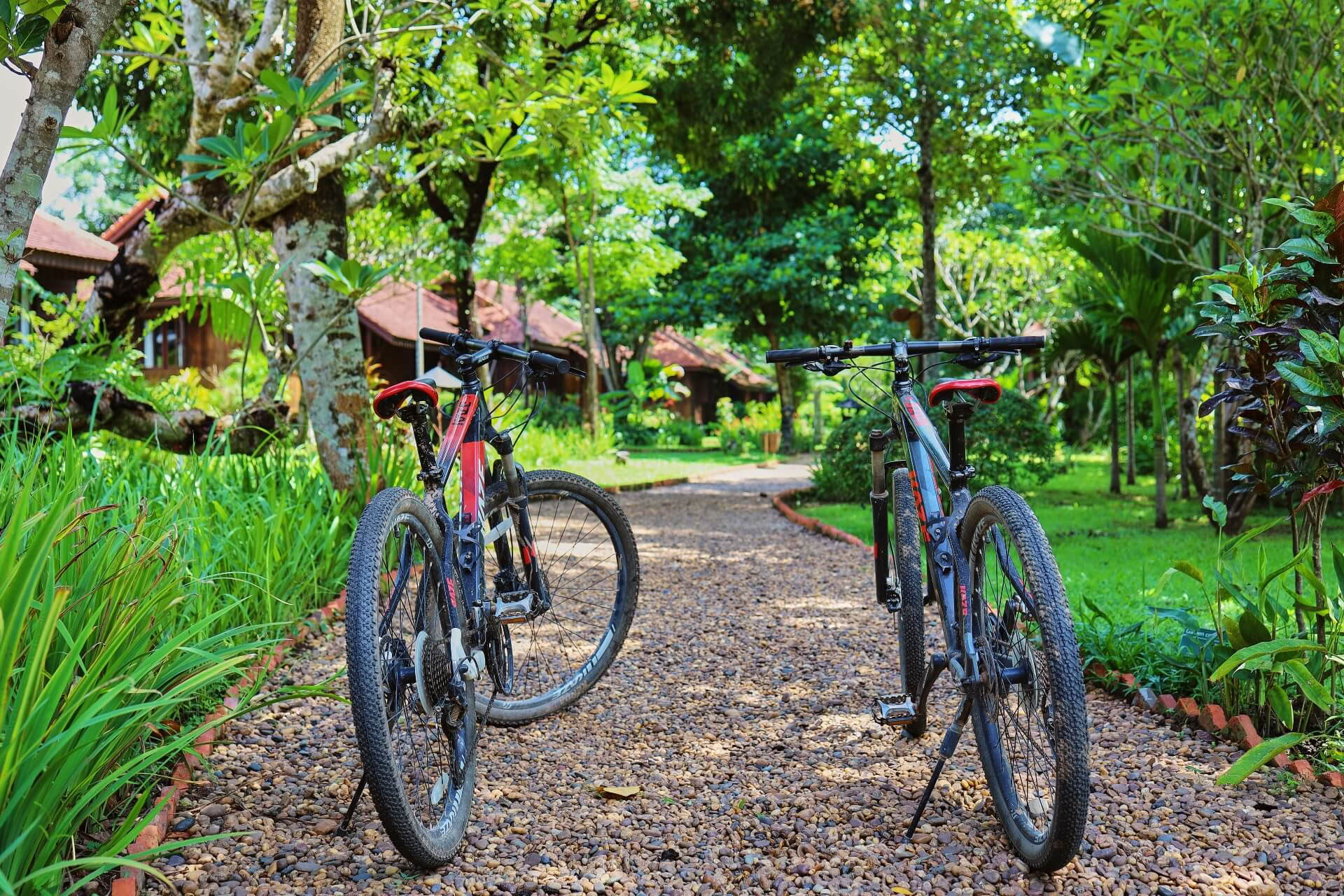 Cykeltur
