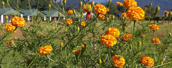 Yoga-retreat i Dhampus