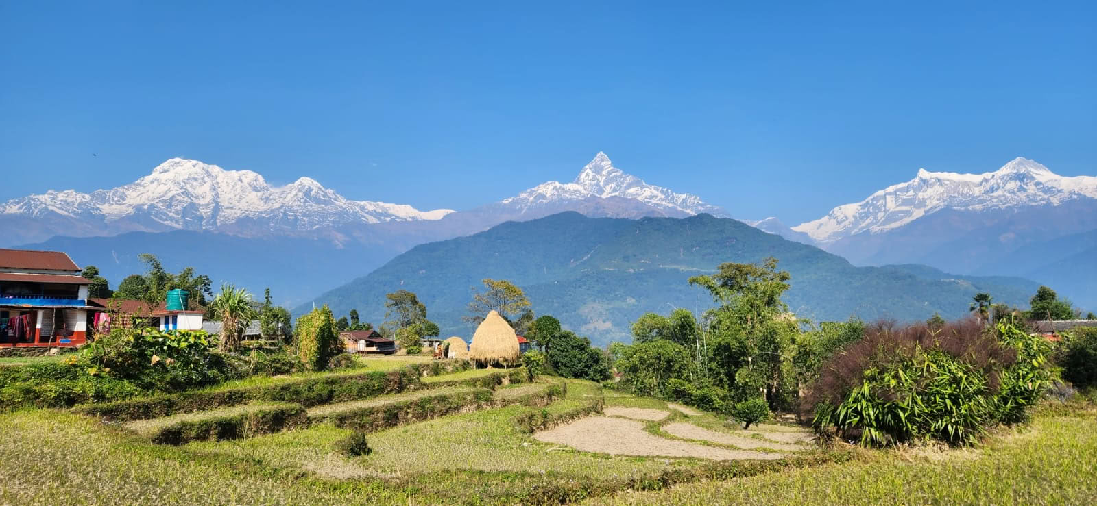 Himalayavy YTTC