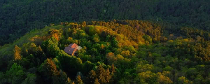 200-timmars RYT · Toscana, Italien · Certifierad av Yoga Alliance