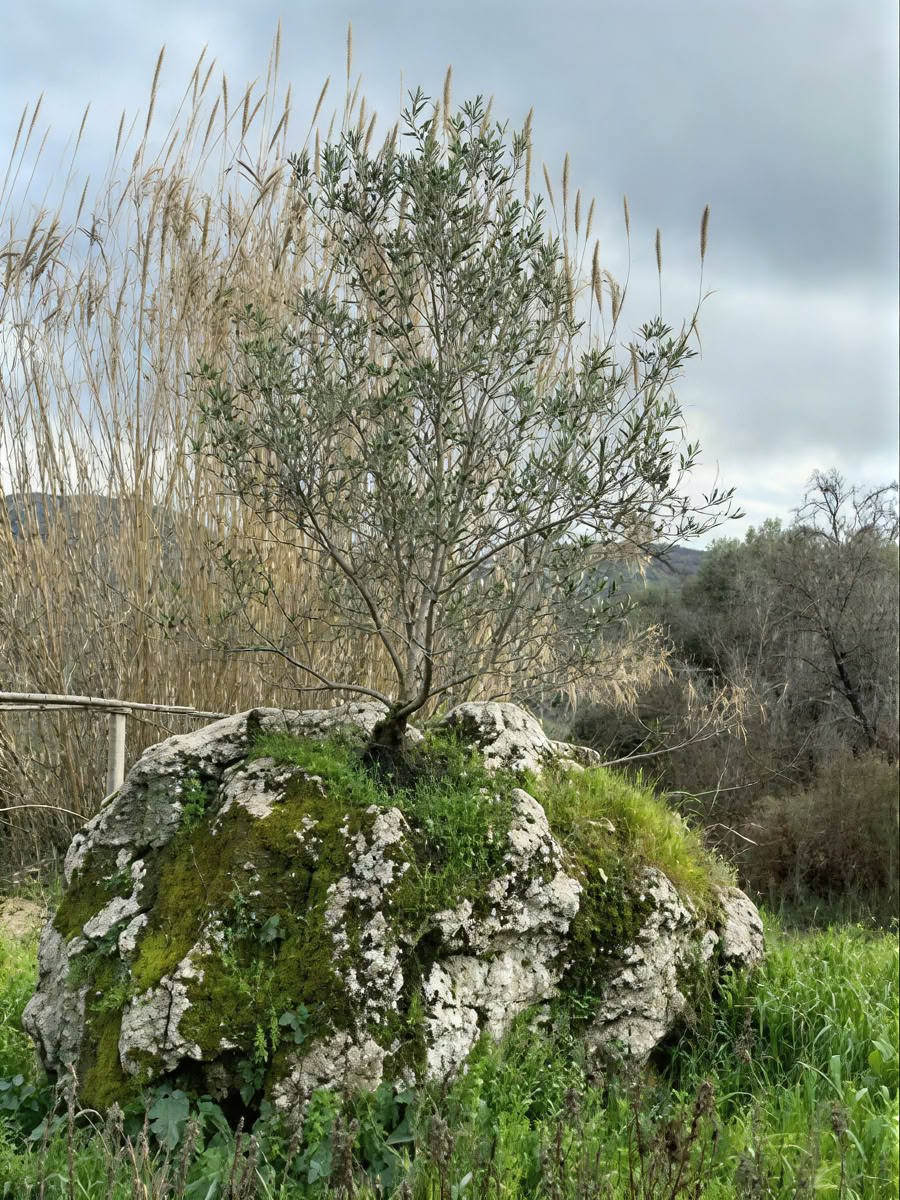 Hyr en retreat