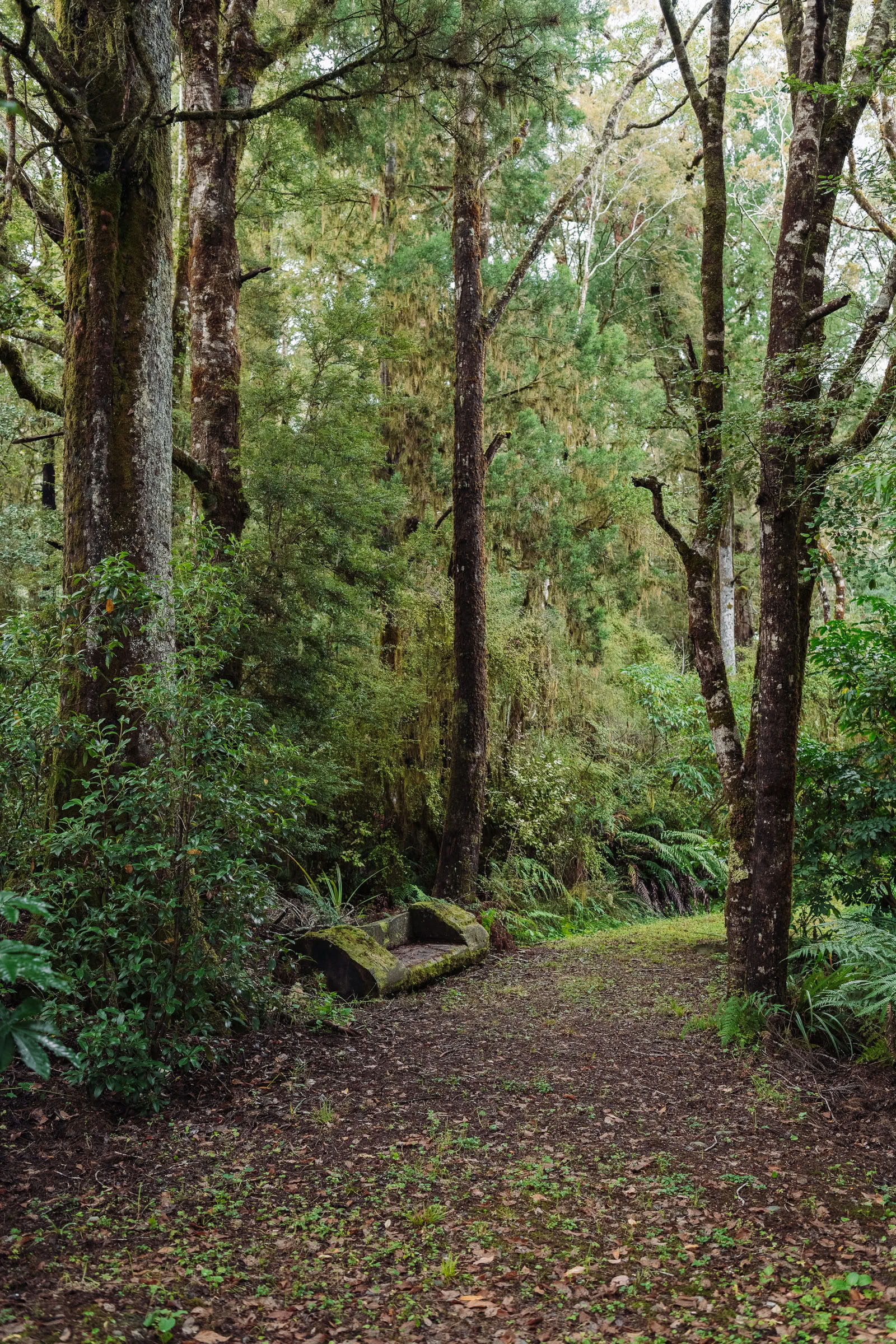 Natur- och yogaretreat – Sydön, Nya Zeeland med Joan Hyman | Maruia River Retreat: lyxig wellnessresort i Nya Zeeland