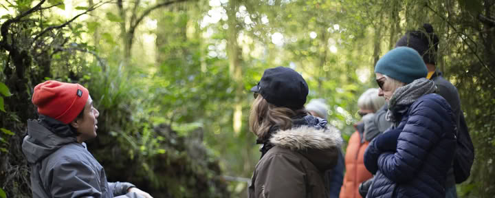 Natur- och yogaretreat – Sydön, Nya Zeeland med Joan Hyman | Maruia River Retreat: lyxig wellnessresort i Nya Zeeland
