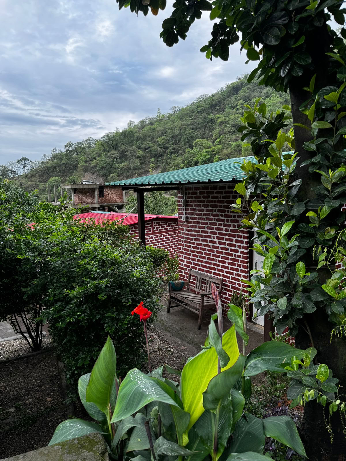 6-dagars surrender-retreat i Rishikesh