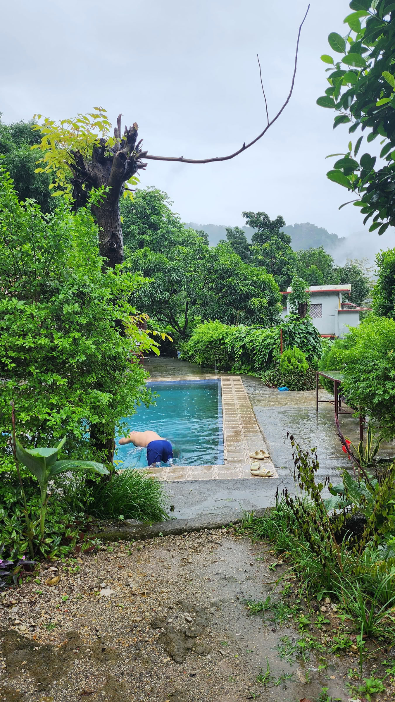 6-dagars surrender-retreat i Rishikesh