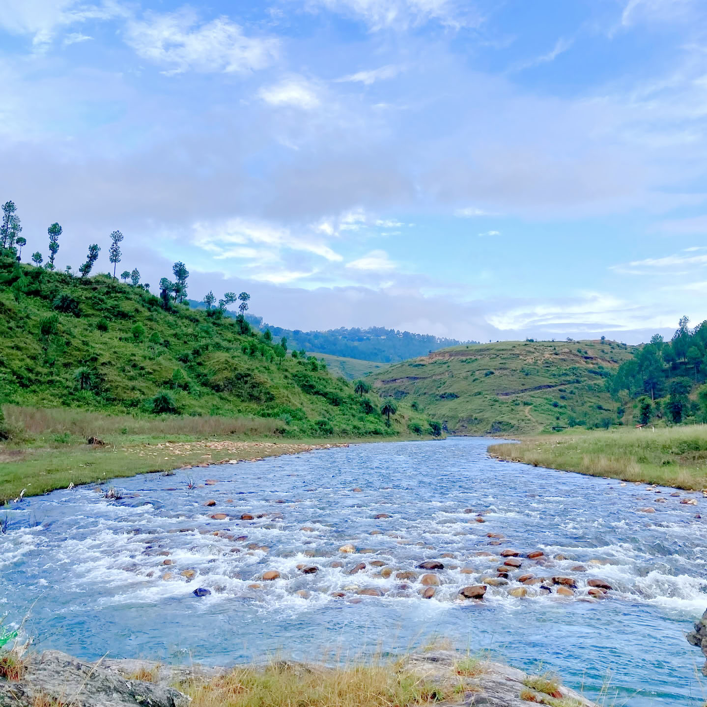 4-dagars stillhetsretreat vid floden i Himalaya i Almora
