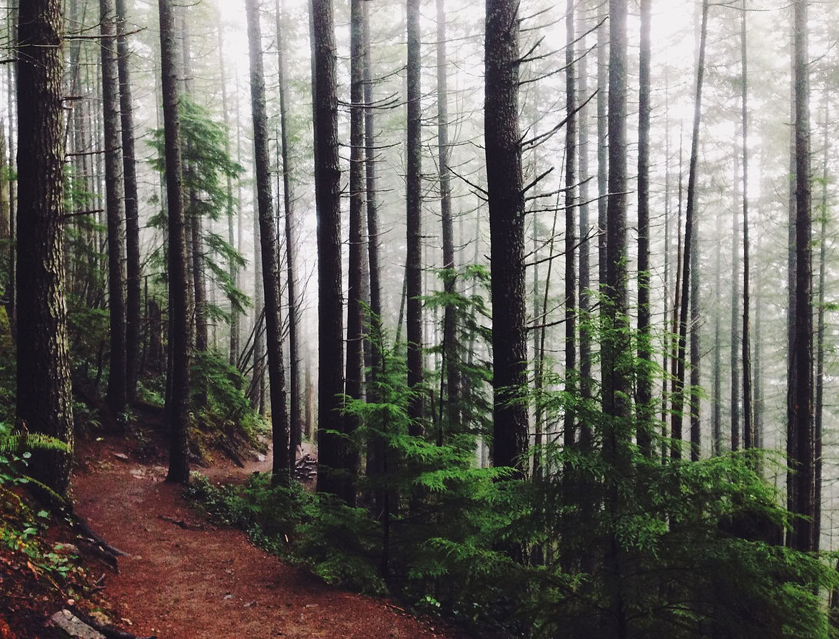 Poonhill – Yogyavandring