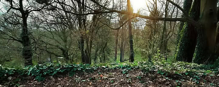 Medveten vibration — Mucklagh Lodge