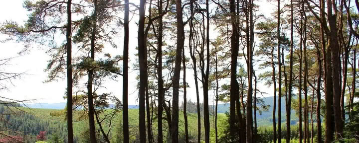 Återvänd till Mucklagh - Samhain — Mucklagh Lodge
