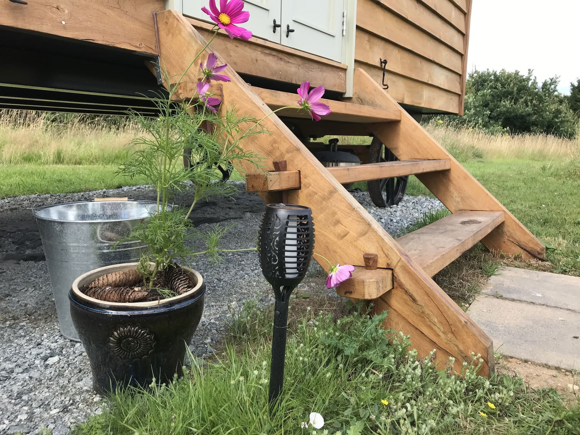 Interaktioner med hästunderstöd