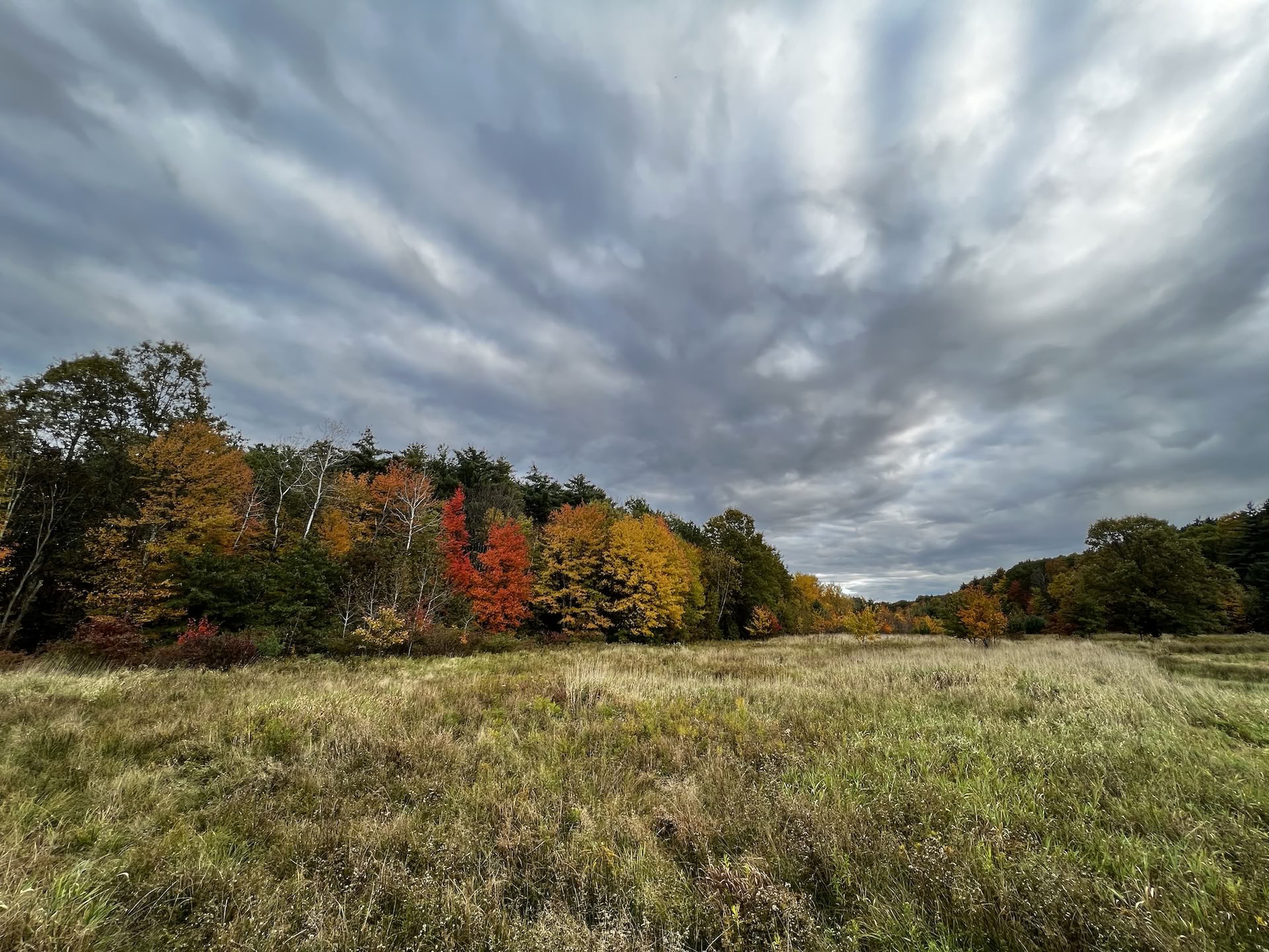 Meditation, yoga och att leva med mening