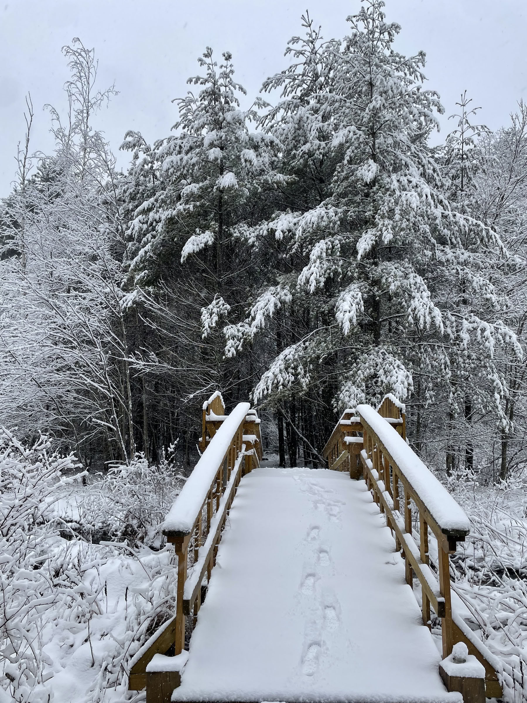 Meditation, yoga och tystnadsretreat