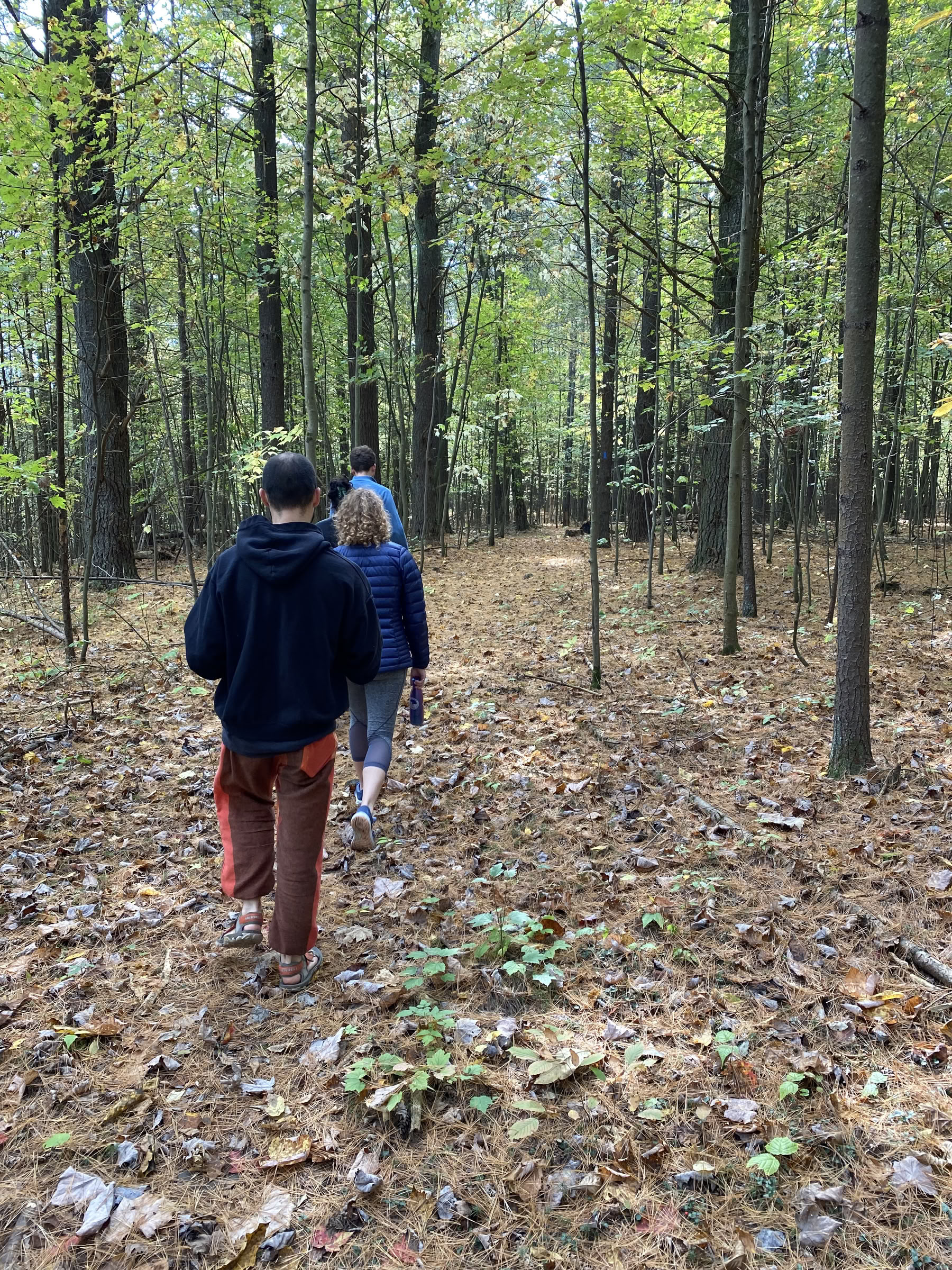 3-dagars tyst meditationsretreat