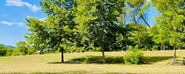Rotad i naturen: en yoga- och qigongretreat under träden
