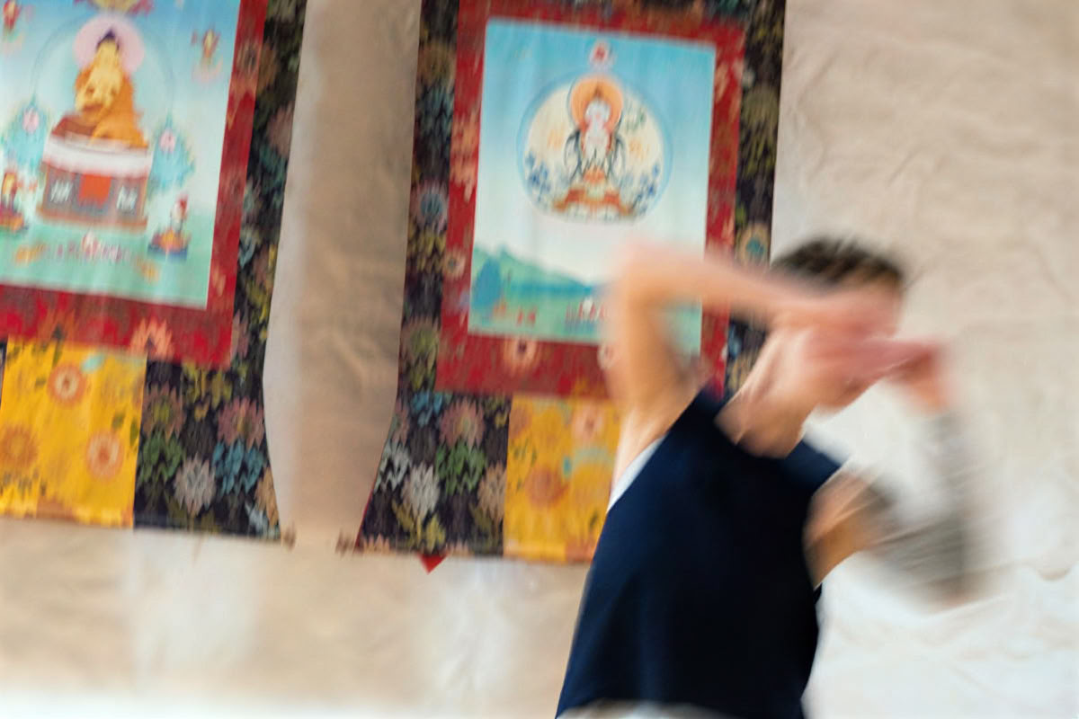 Vit trana breder ut vingarna: tai chi, skrivande och meditation