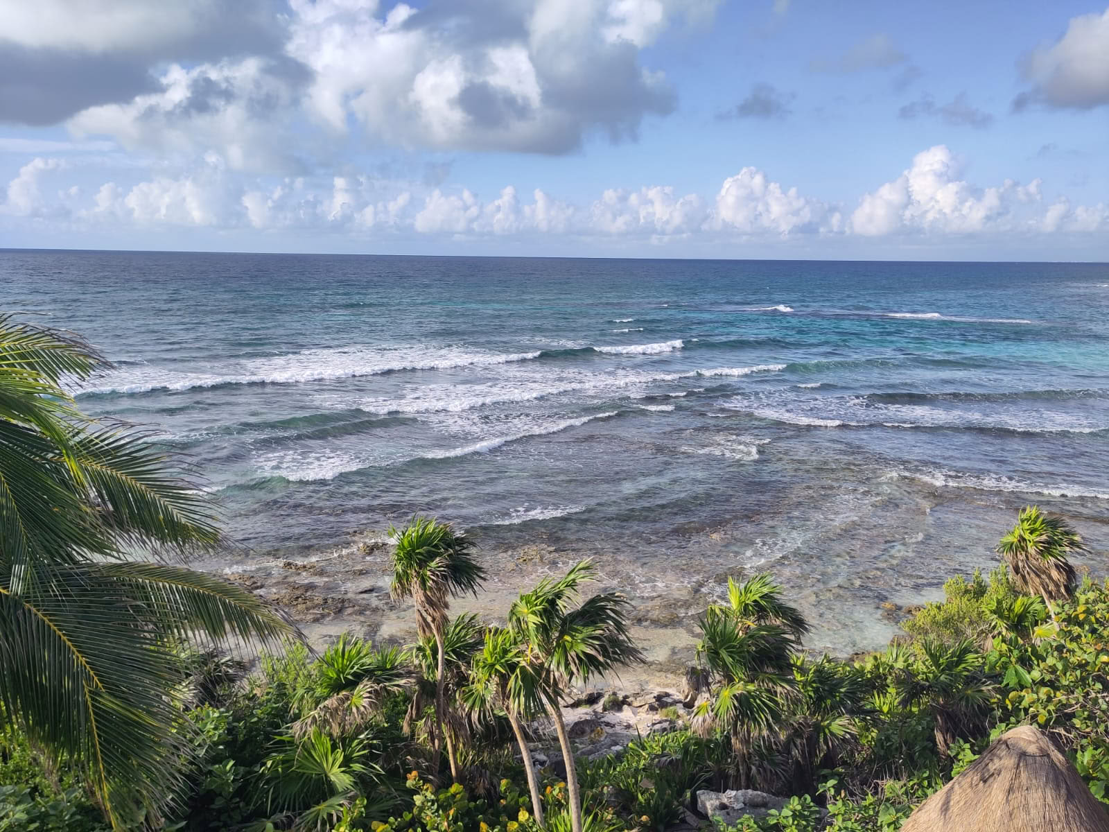 10 dagar med Ocean Flow-yoga och mayanska djungelutflykter