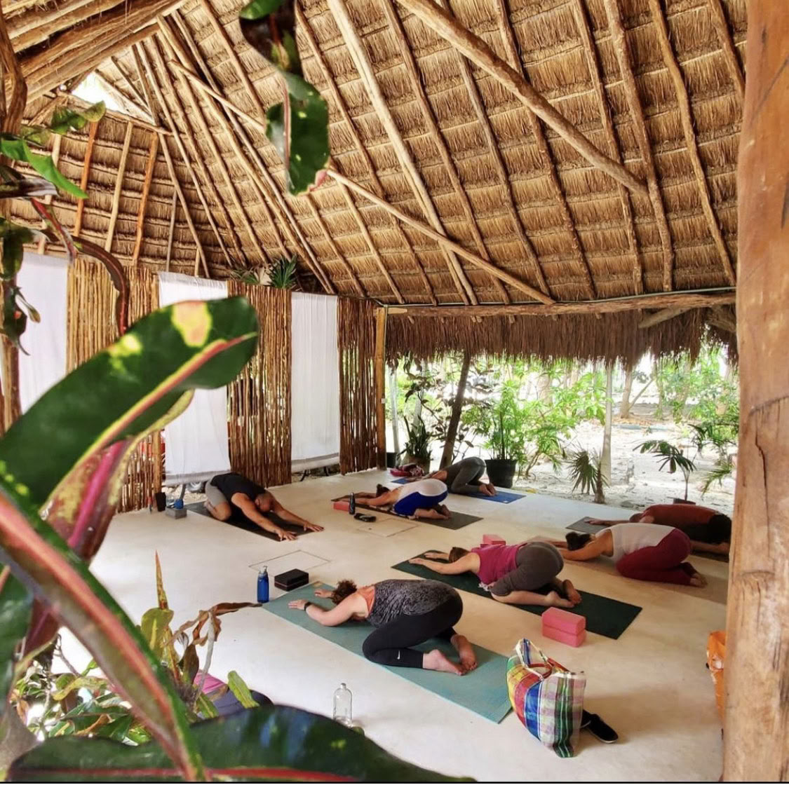7-dagars själsskimmer vid havet: yoga- och meditationsretreat i Riviera Maya
