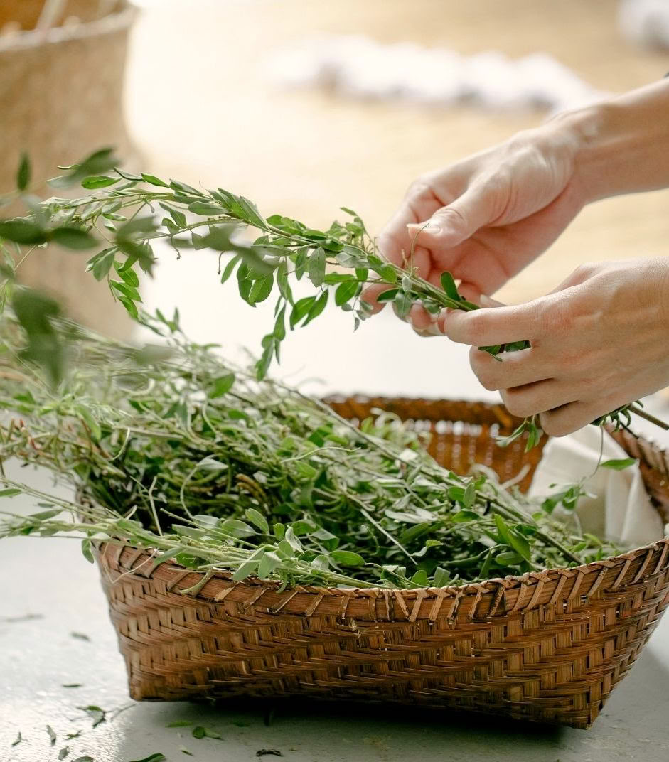 Digital detox-retreat