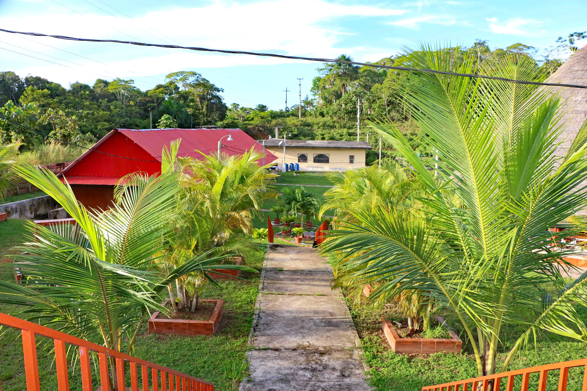 Ayahuasca & Iboga (Vitalitetsretreat)