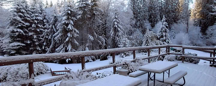 Att stilla sinnet, väcka hjärtat: en insiktsmeditationsretreat -- lotteriretreat