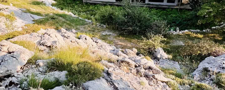 6 dagars yogaretreat: balans, läkning, återhämtning