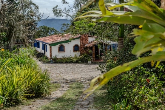 Ayahuasca-retreat med munspel