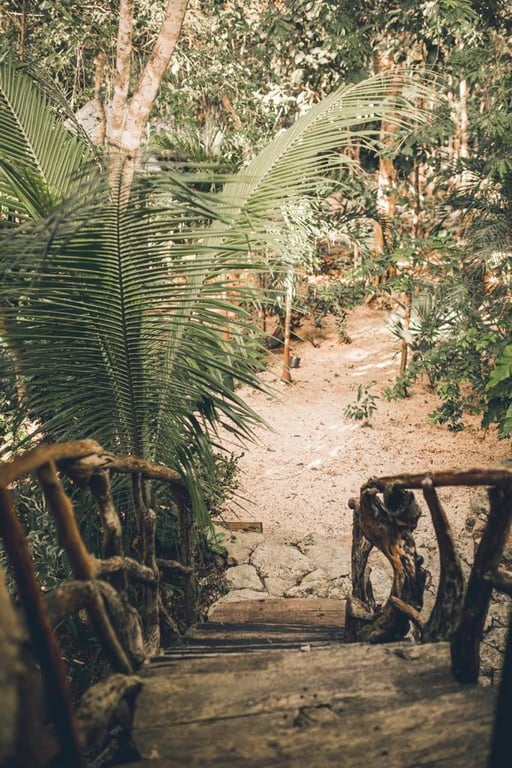 Xanga Guru-upplevelser