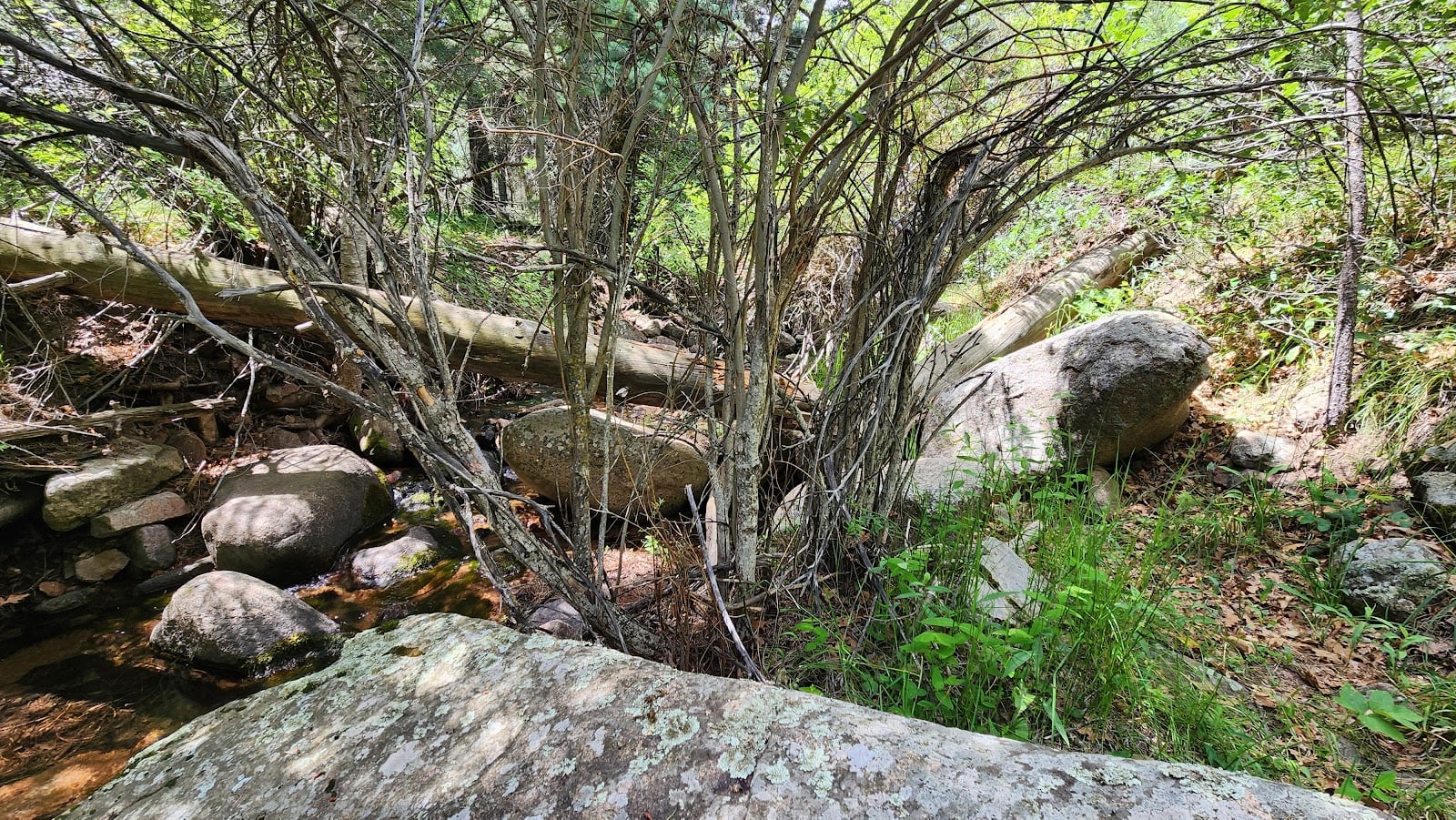 Natur- och djurupptäcktscenter – Bergscampus