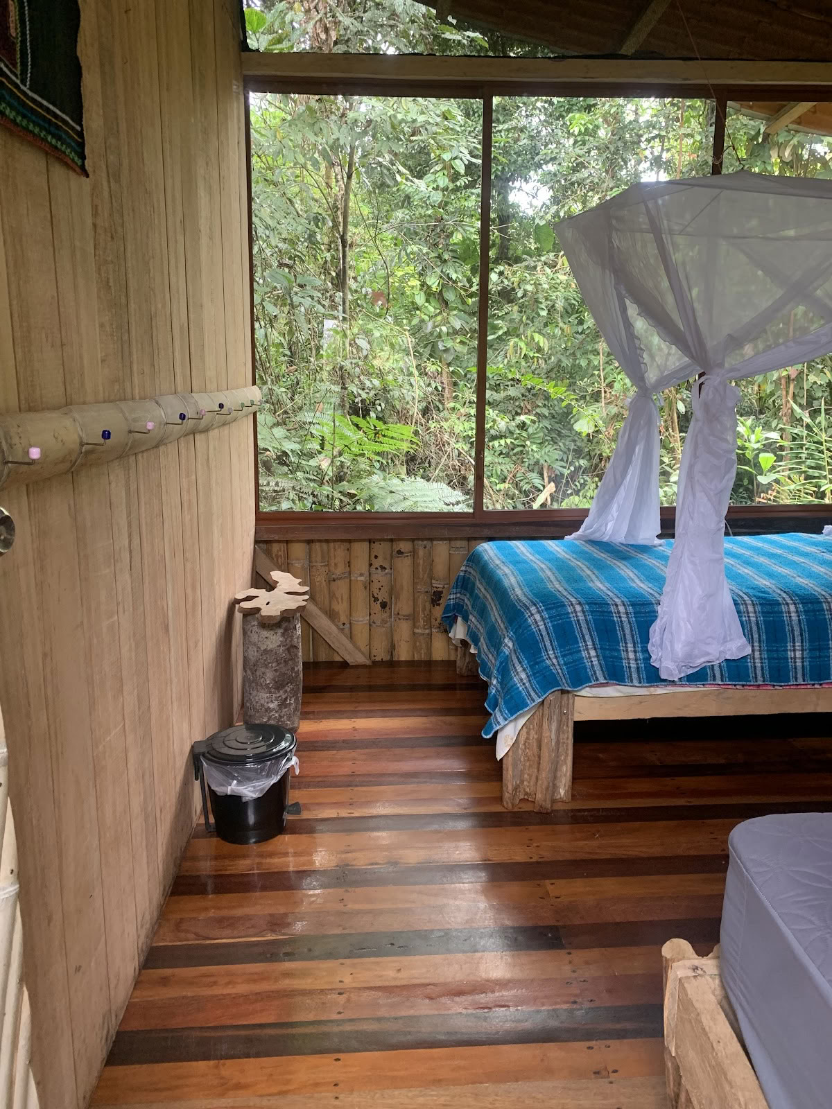 Fjäderkrona Ayahuasca Ecuador