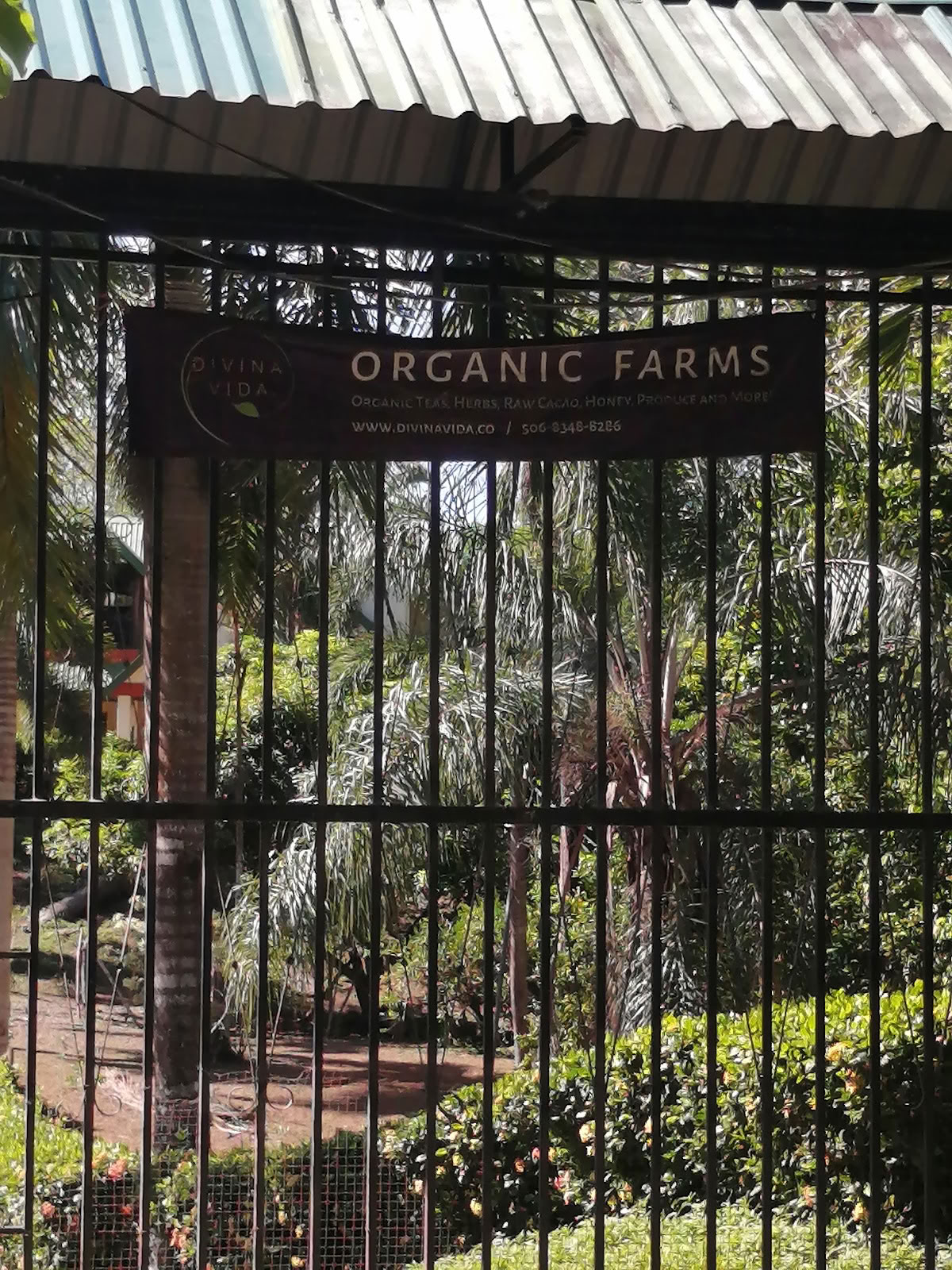 Finca Divina Vida