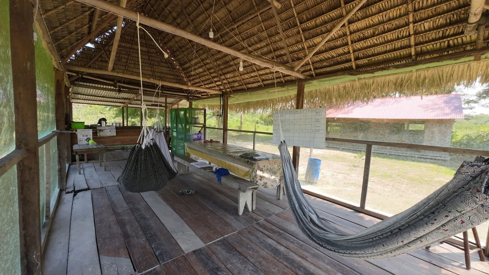 Shipibo ayahuasca- och shamanismgrundning
