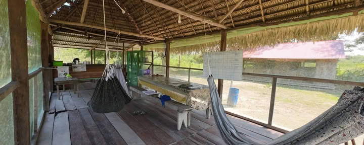 Shipibo ayahuasca- och shamanismgrundning