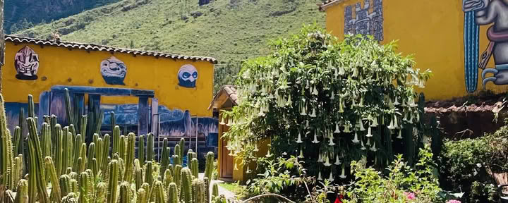 Huachuma Wasi